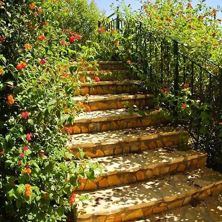 Apartment Perivoli Ii Akrotiri (Zakynthos)